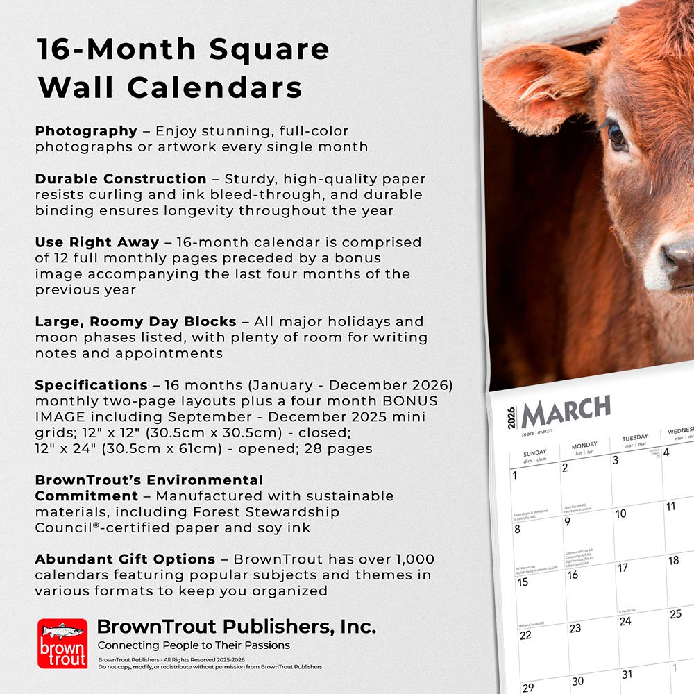 Baby Moo Moos | 2026 12 x 24 Inch (Hanging) Monthly Square Wall Calendar