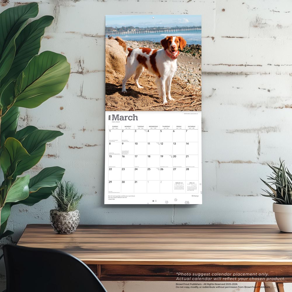 Brittanys | 2026 12 x 24 Inch (Hanging) Monthly Square Wall Calendar