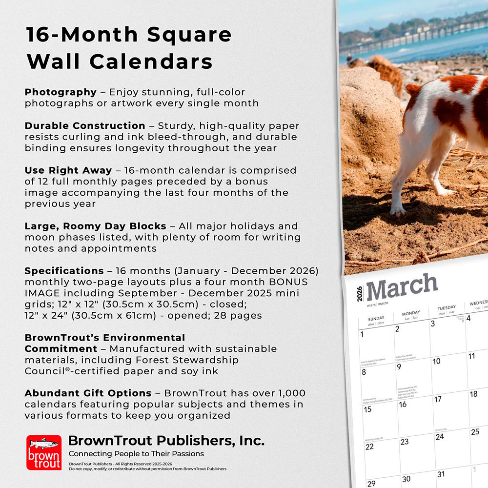 Brittanys | 2026 12 x 24 Inch (Hanging) Monthly Square Wall Calendar