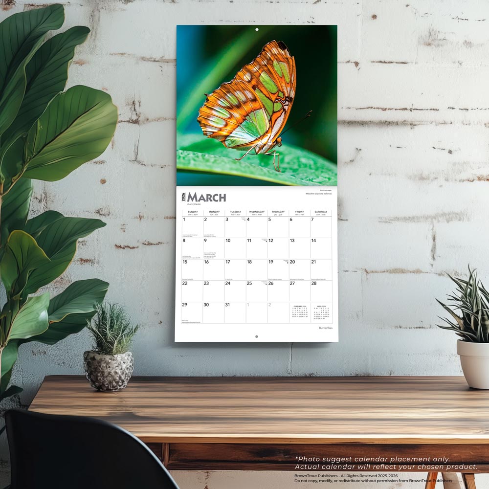 Butterflies | 2026 12 x 24 Inch (Hanging) Monthly Square Wall Calendar
