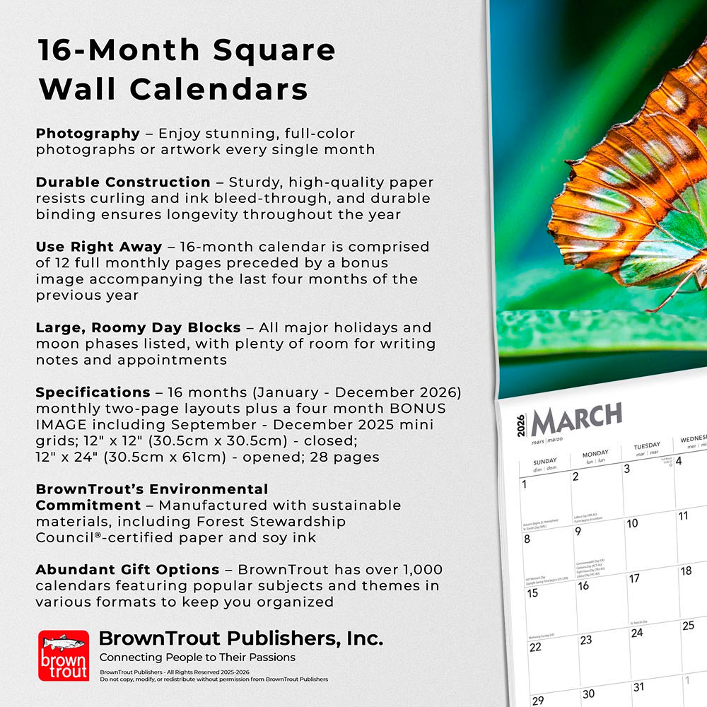 Butterflies | 2026 12 x 24 Inch (Hanging) Monthly Square Wall Calendar
