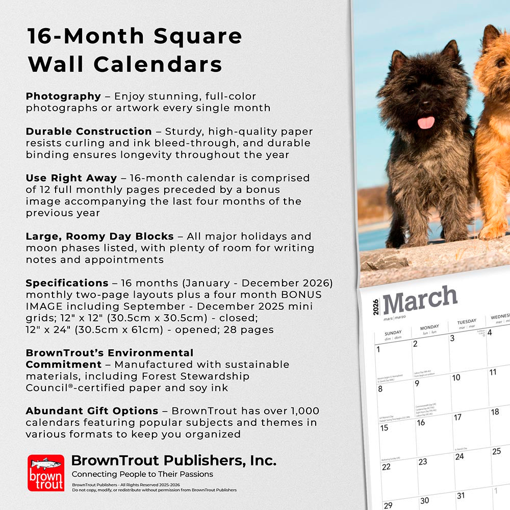 Cairn Terriers | 2026 12 x 24 Inch (Hanging) Monthly Square Wall Calendar