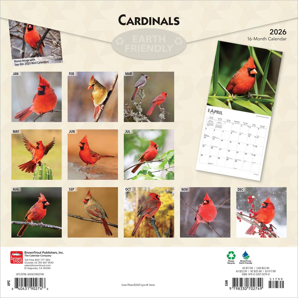 Cardinals | 2026 12 x 24 Inch (Hanging) Monthly Square Wall Calendar
