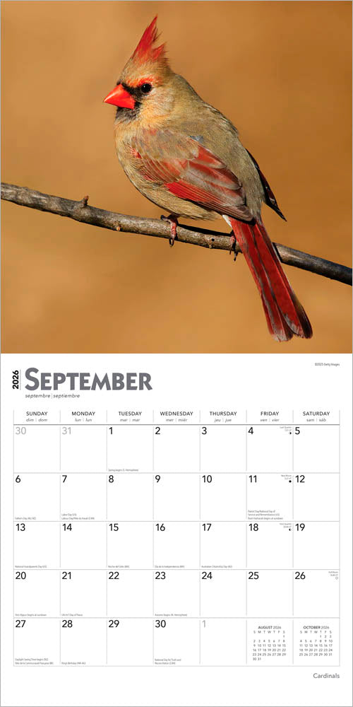 Cardinals | 2026 12 x 24 Inch (Hanging) Monthly Square Wall Calendar