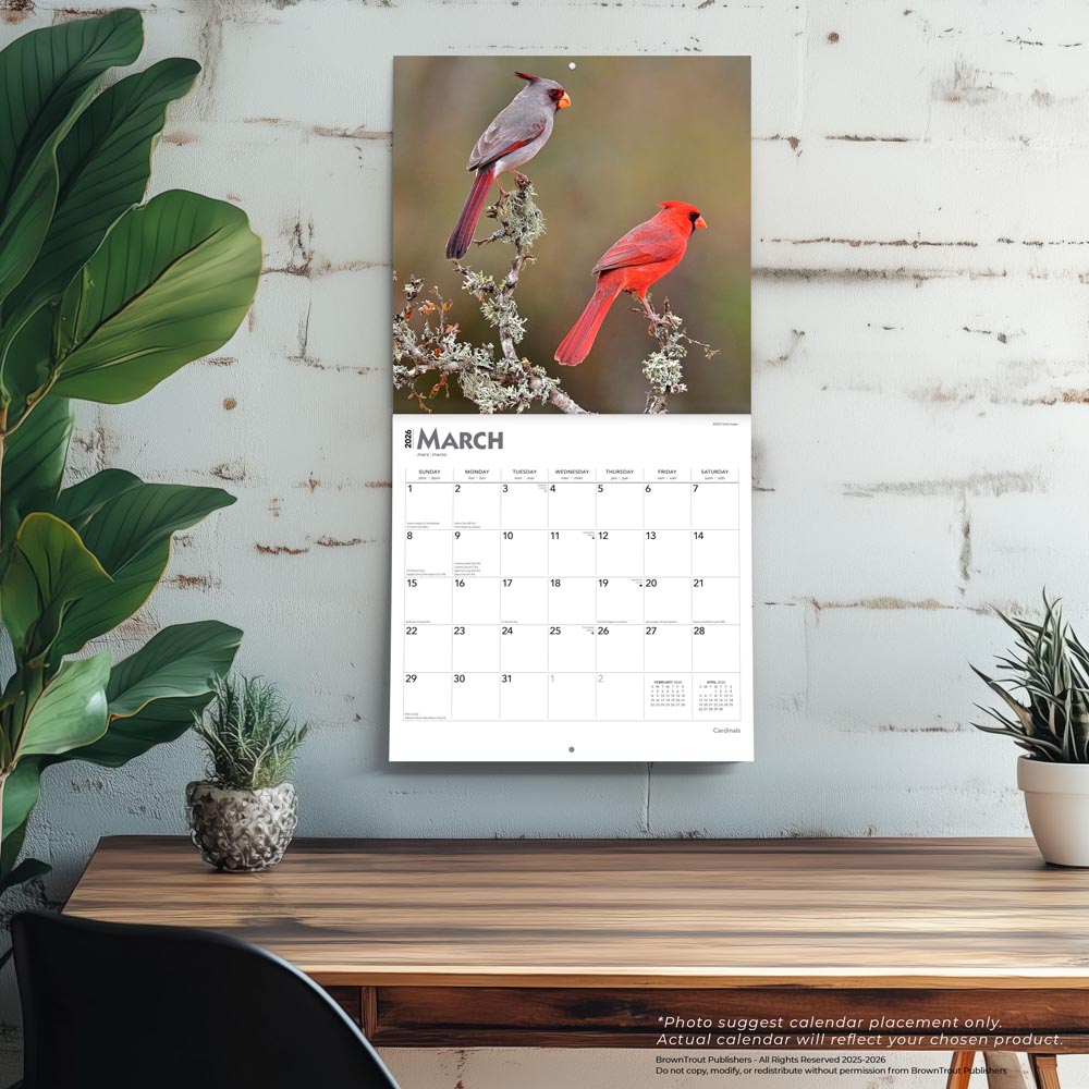 Cardinals | 2026 12 x 24 Inch (Hanging) Monthly Square Wall Calendar