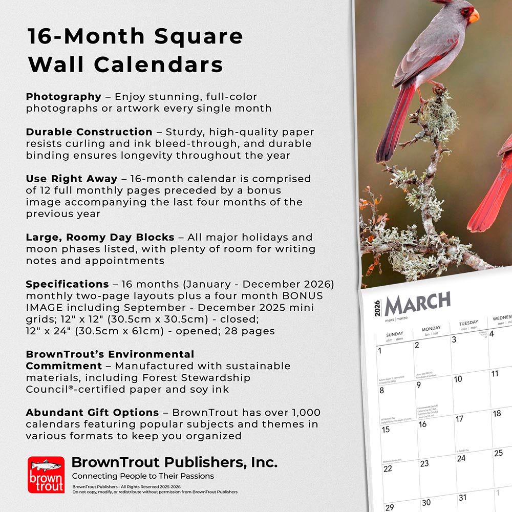 Cardinals | 2026 12 x 24 Inch (Hanging) Monthly Square Wall Calendar
