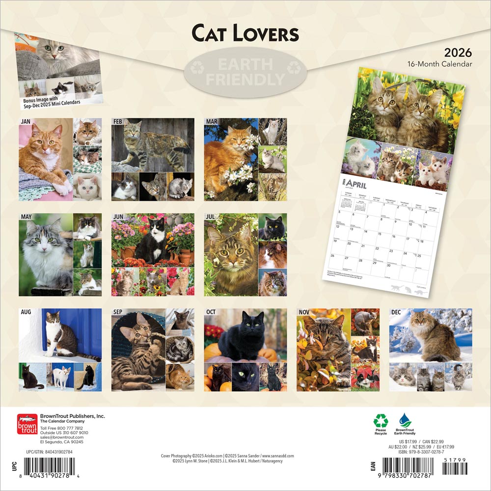 Cat Lovers | 2026 12 x 24 Inch (Hanging) Monthly Square Wall Calendar | Foil Stamped Cover