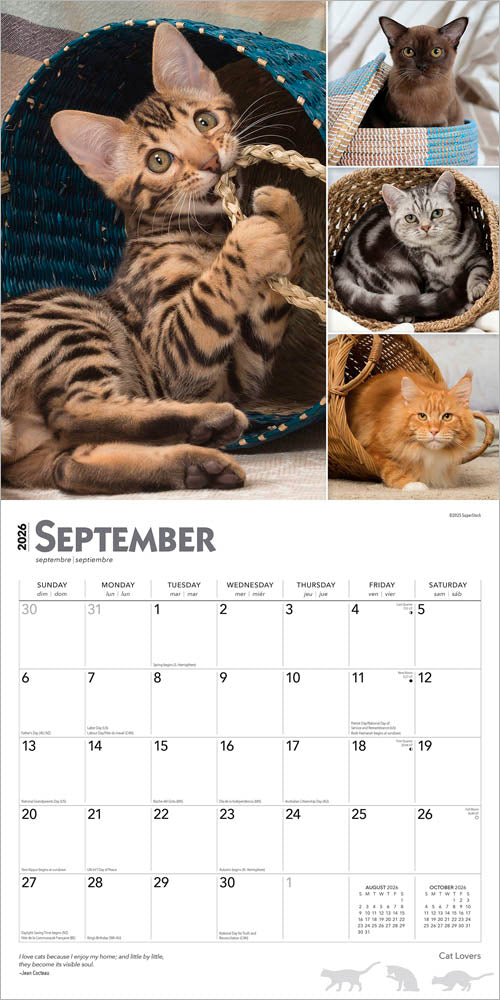 Cat Lovers | 2026 12 x 24 Inch (Hanging) Monthly Square Wall Calendar | Foil Stamped Cover