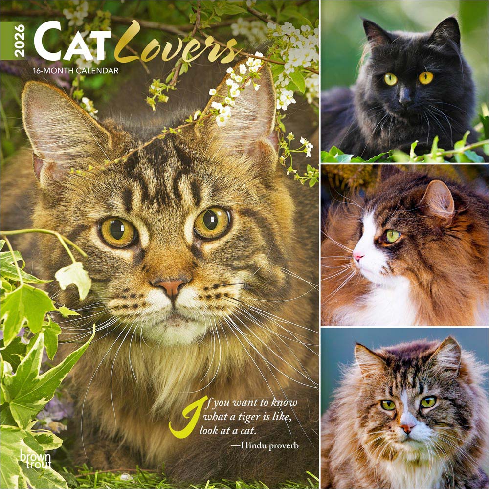 Cat Lovers | 2026 12 x 24 Inch (Hanging) Monthly Square Wall Calendar | Foil Stamped Cover