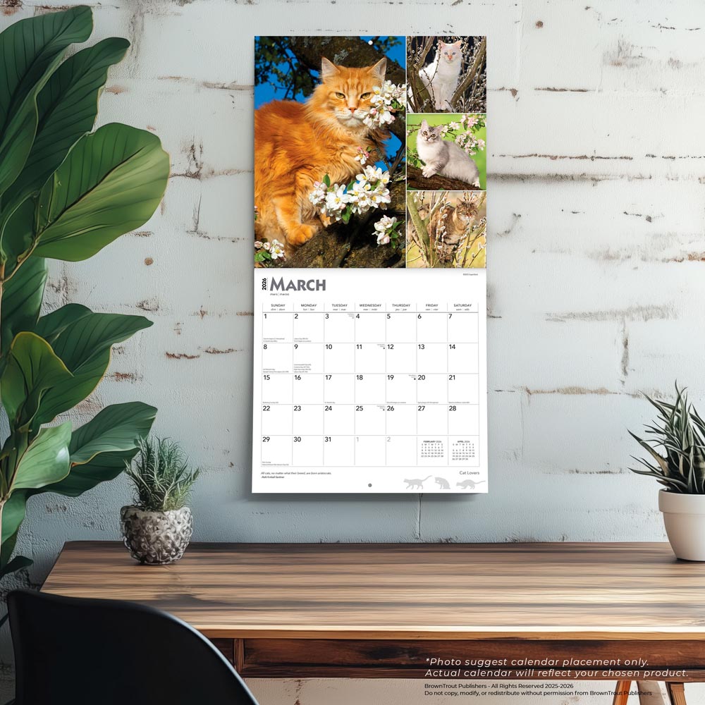 Cat Lovers | 2026 12 x 24 Inch (Hanging) Monthly Square Wall Calendar | Foil Stamped Cover