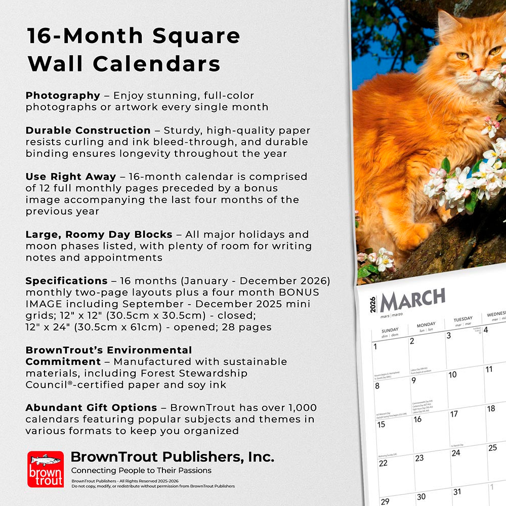 Cat Lovers | 2026 12 x 24 Inch (Hanging) Monthly Square Wall Calendar | Foil Stamped Cover