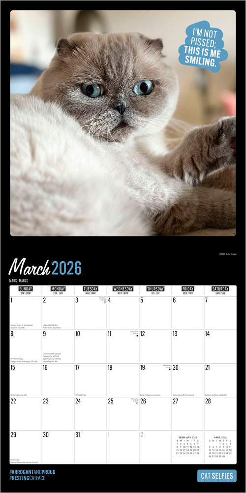 Cat Selfies | 2026 12 x 24 Inch (Hanging) Monthly Square Wall Calendar