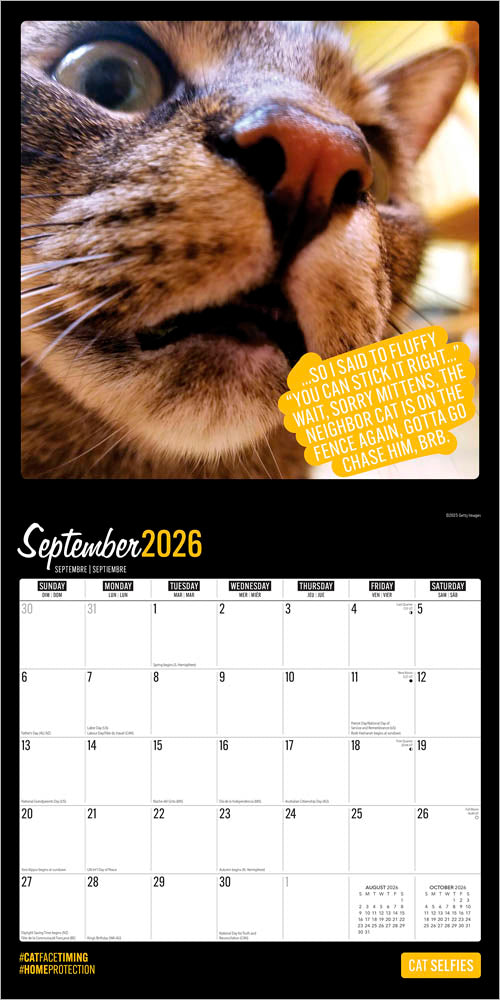 Cat Selfies | 2026 12 x 24 Inch (Hanging) Monthly Square Wall Calendar