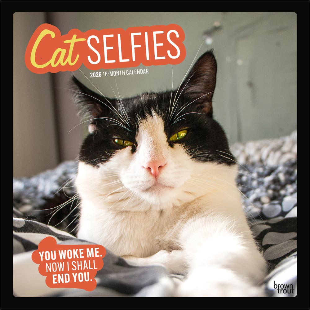 Cat Selfies | 2026 12 x 24 Inch (Hanging) Monthly Square Wall Calendar