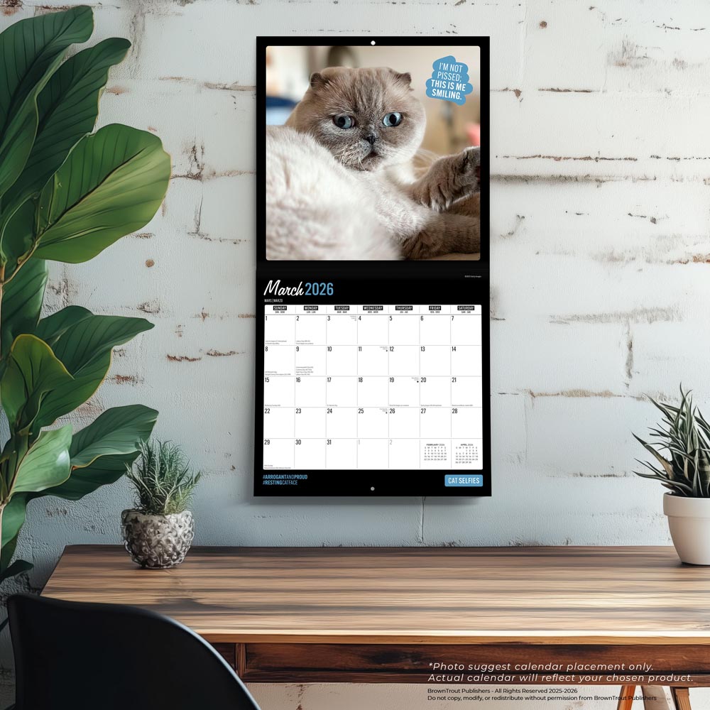 Cat Selfies | 2026 12 x 24 Inch (Hanging) Monthly Square Wall Calendar