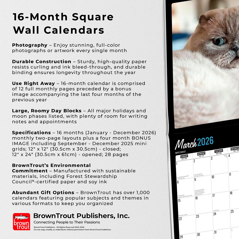 Cat Selfies | 2026 12 x 24 Inch (Hanging) Monthly Square Wall Calendar