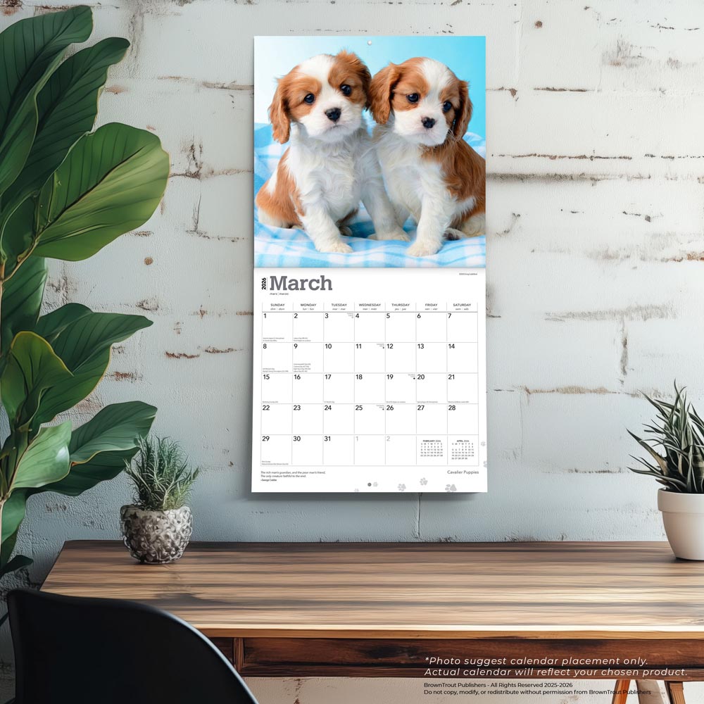 Cavalier King Charles Spaniel Puppies | 2026 12 x 24 Inch (Hanging) Monthly Square Wall Calendar