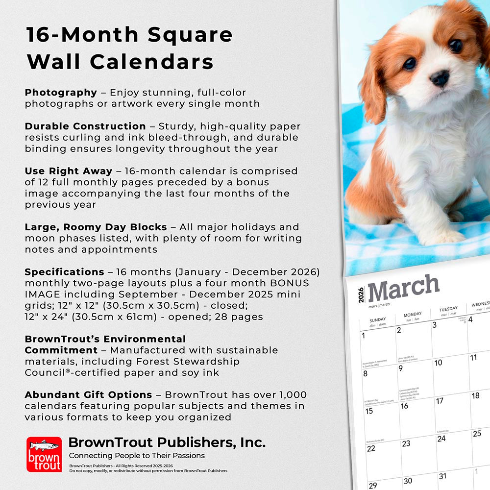 Cavalier King Charles Spaniel Puppies | 2026 12 x 24 Inch (Hanging) Monthly Square Wall Calendar