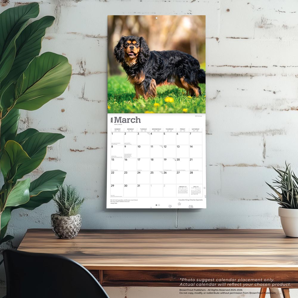 Cavalier King Charles Spaniels | 2026 12 x 24 Inch (Hanging) Monthly Square Wall Calendar