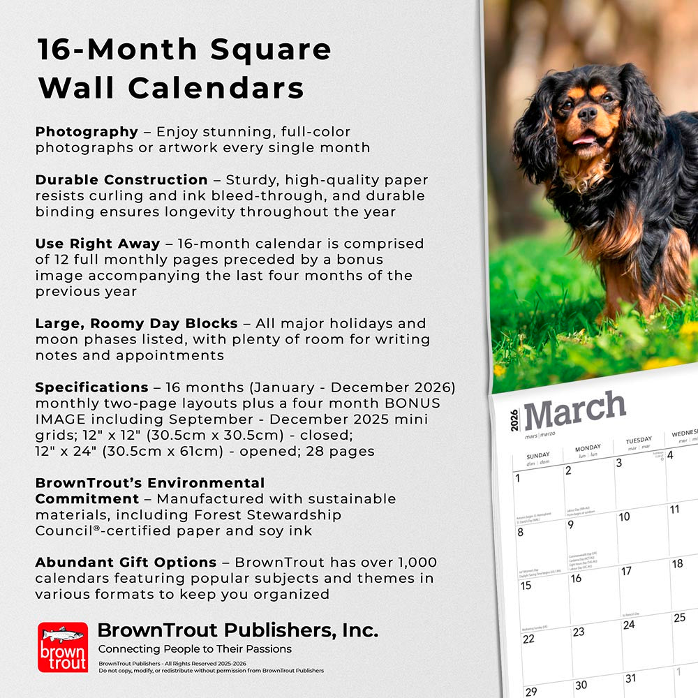 Cavalier King Charles Spaniels | 2026 12 x 24 Inch (Hanging) Monthly Square Wall Calendar