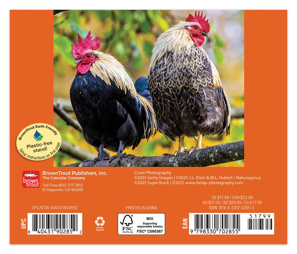 Chickens | 2026 6 x 5 Inch Daily Desktop Box Calendar | New Page Every Day