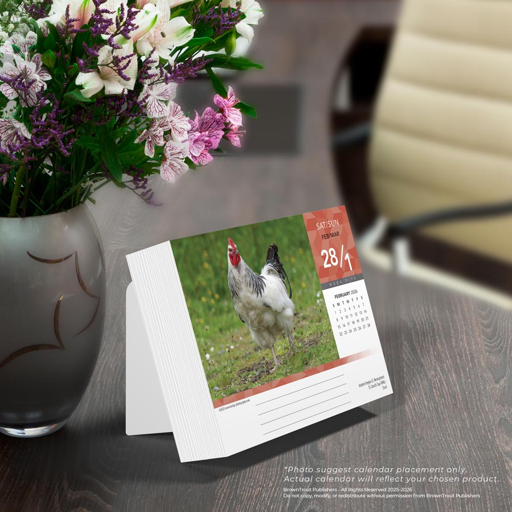 Chickens | 2026 6 x 5 Inch Daily Desktop Box Calendar | New Page Every Day