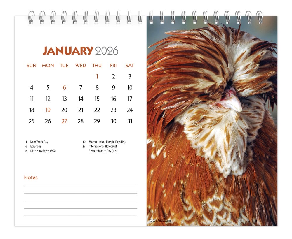 Chickens | 2026 7.5 x 6 Inch Monthly Double-View Easel Desk Calendar