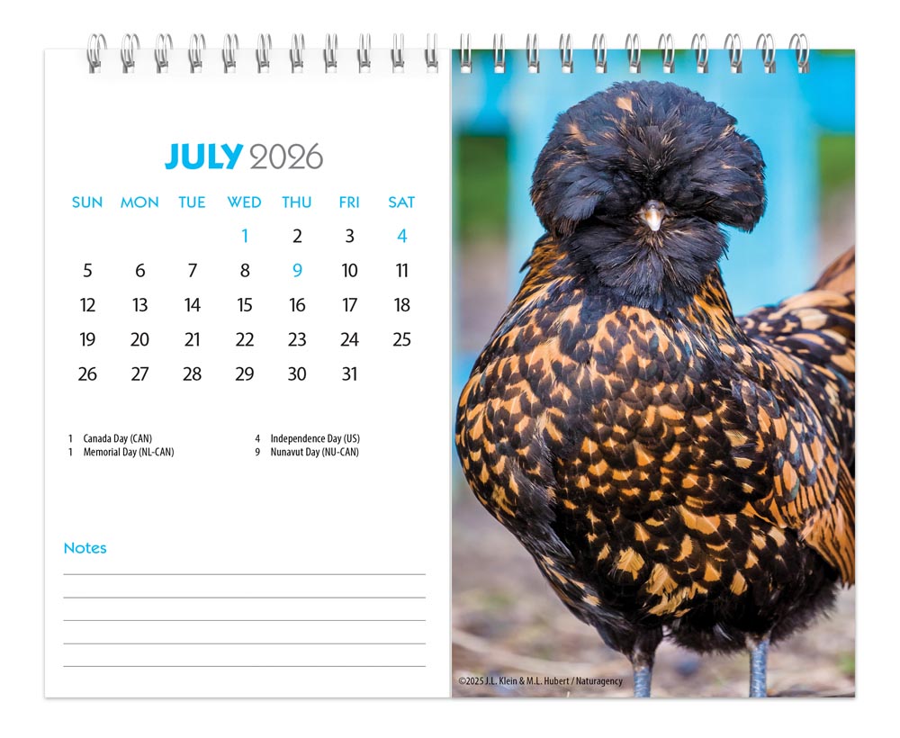 Chickens | 2026 7.5 x 6 Inch Monthly Double-View Easel Desk Calendar