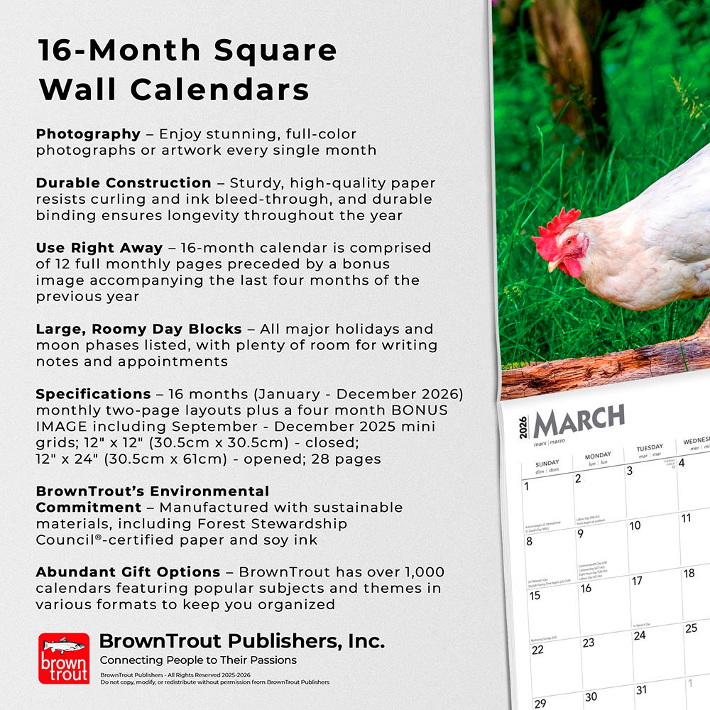 Chickens | 2026 12 x 24 Inch (Hanging) Monthly Square Wall Calendar