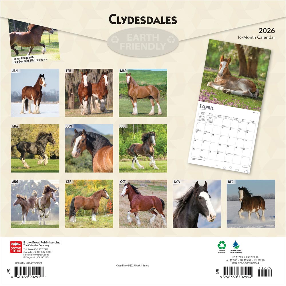 Clydesdales | 2026 12 x 24 Inch (Hanging) Monthly Square Wall Calendar