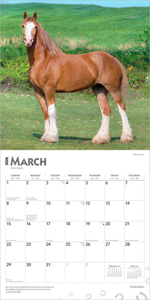 Clydesdales | 2026 12 x 24 Inch (Hanging) Monthly Square Wall Calendar