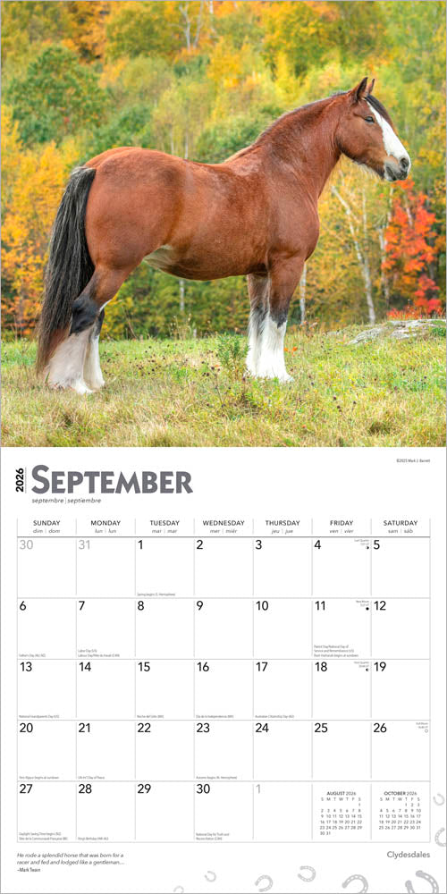 Clydesdales | 2026 12 x 24 Inch (Hanging) Monthly Square Wall Calendar