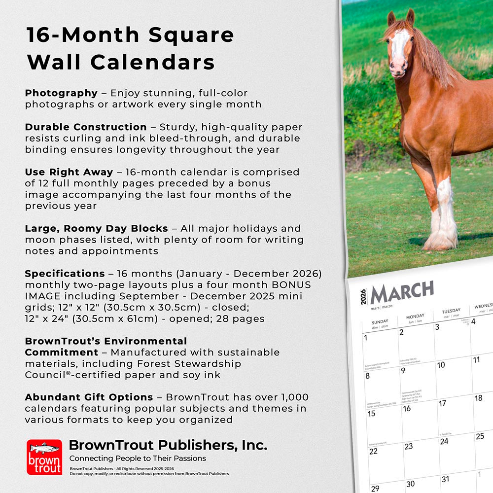 Clydesdales | 2026 12 x 24 Inch (Hanging) Monthly Square Wall Calendar
