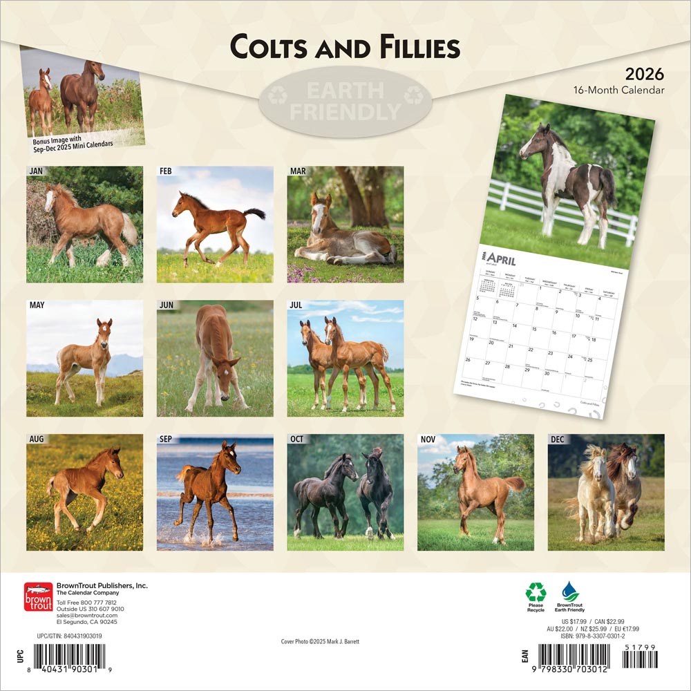 Colts and Fillies | 2026 12 x 24 Inch (Hanging) Monthly Square Wall Calendar
