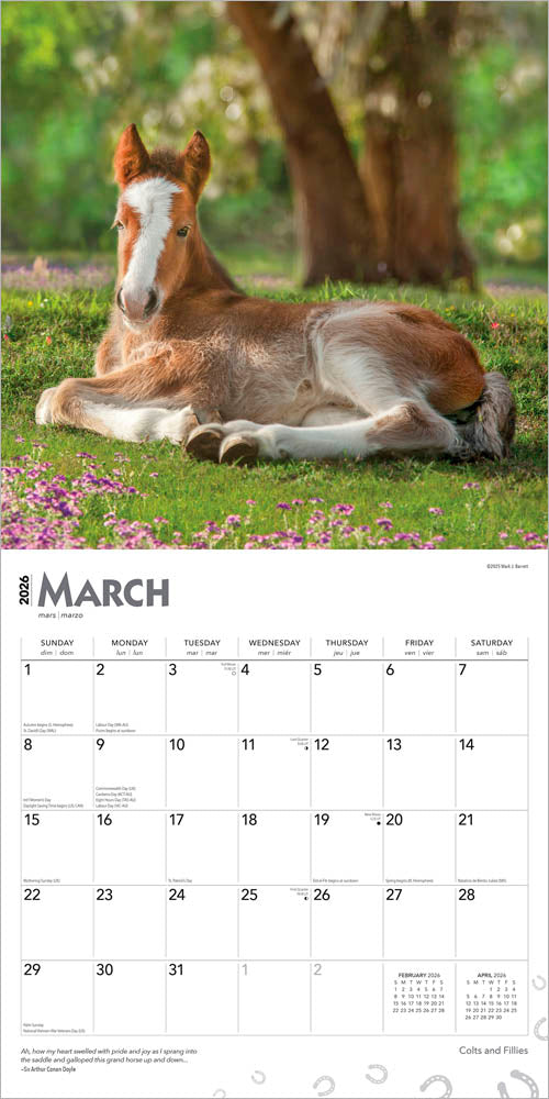 Colts and Fillies | 2026 12 x 24 Inch (Hanging) Monthly Square Wall Calendar