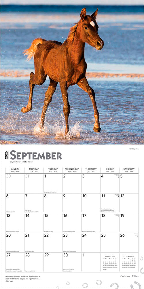 Colts and Fillies | 2026 12 x 24 Inch (Hanging) Monthly Square Wall Calendar