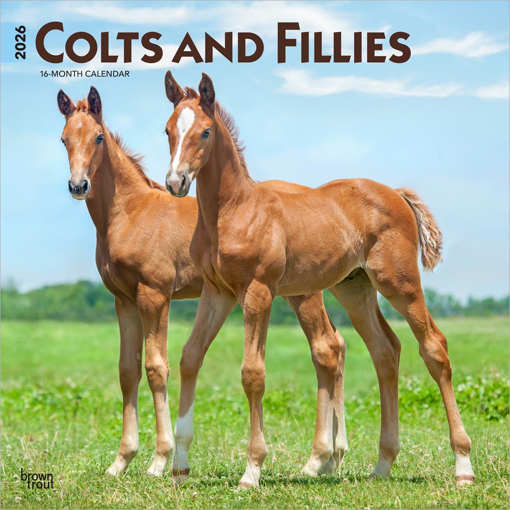 Colts and Fillies | 2026 12 x 24 Inch (Hanging) Monthly Square Wall Calendar