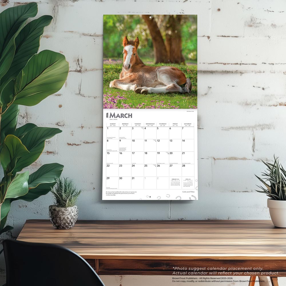 Colts and Fillies | 2026 12 x 24 Inch (Hanging) Monthly Square Wall Calendar