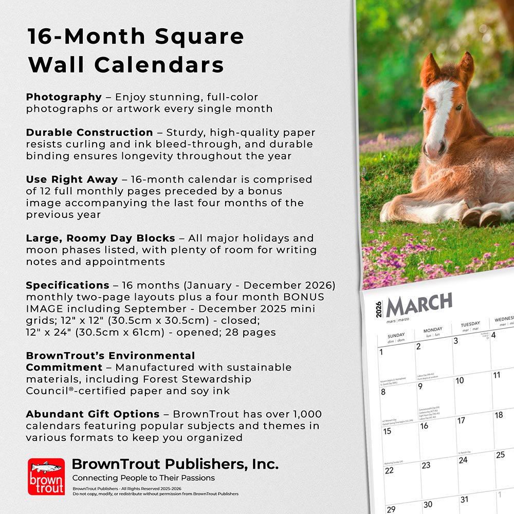 Colts and Fillies | 2026 12 x 24 Inch (Hanging) Monthly Square Wall Calendar