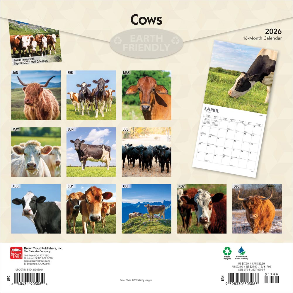 Cows | 2026 12 x 24 Inch (Hanging) Monthly Square Wall Calendar