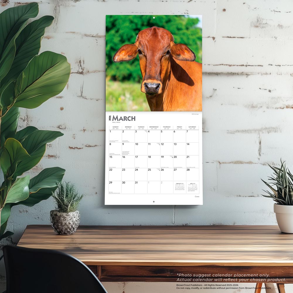 Cows | 2026 12 x 24 Inch (Hanging) Monthly Square Wall Calendar