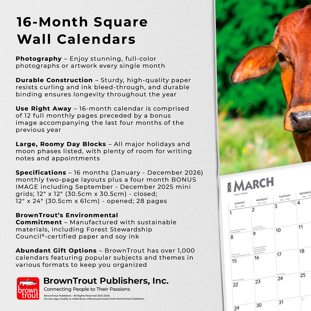 Cows | 2026 12 x 24 Inch (Hanging) Monthly Square Wall Calendar