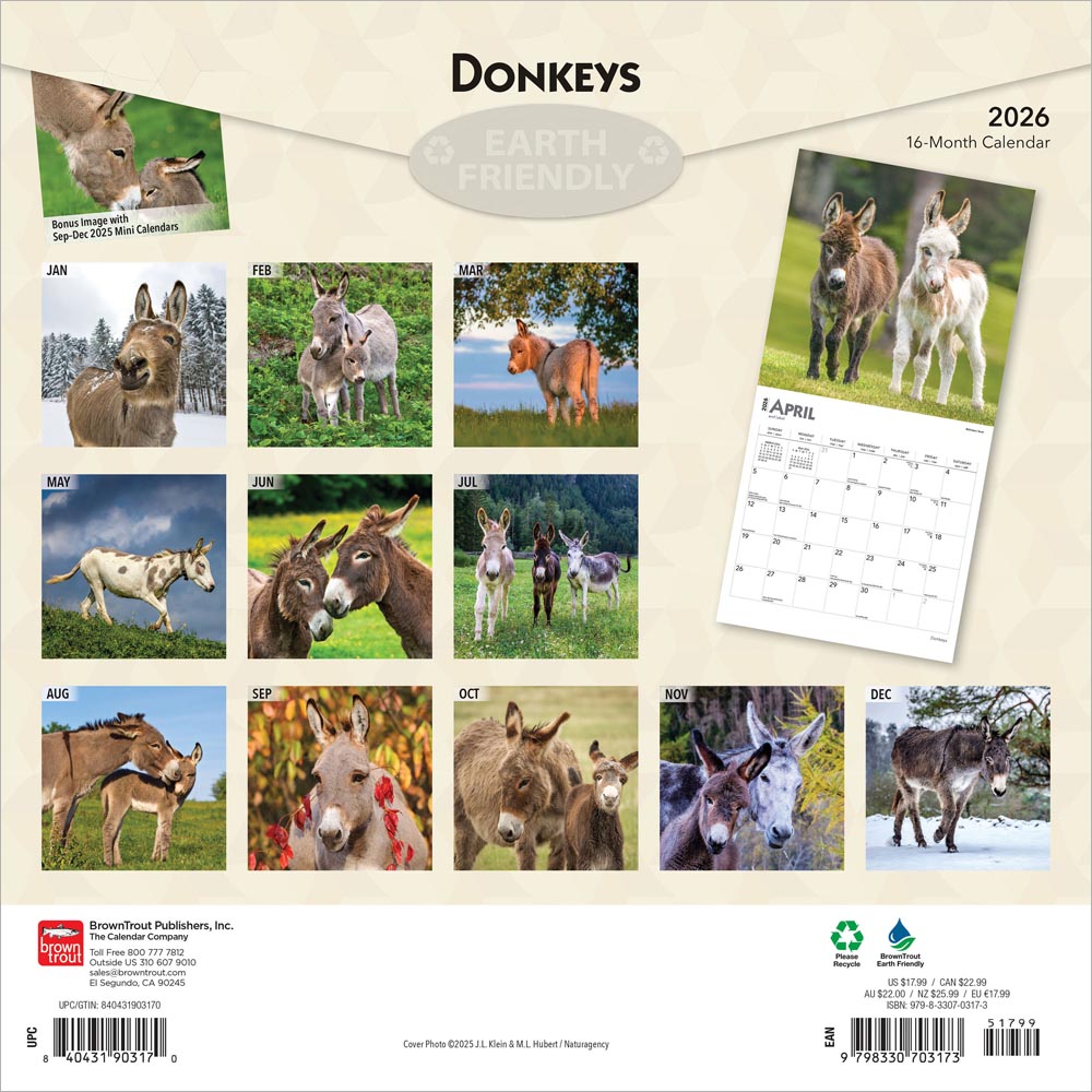 Donkeys | 2026 12 x 24 Inch (Hanging) Monthly Square Wall Calendar