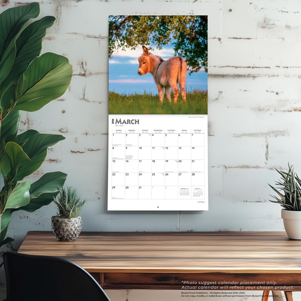 Donkeys | 2026 12 x 24 Inch (Hanging) Monthly Square Wall Calendar