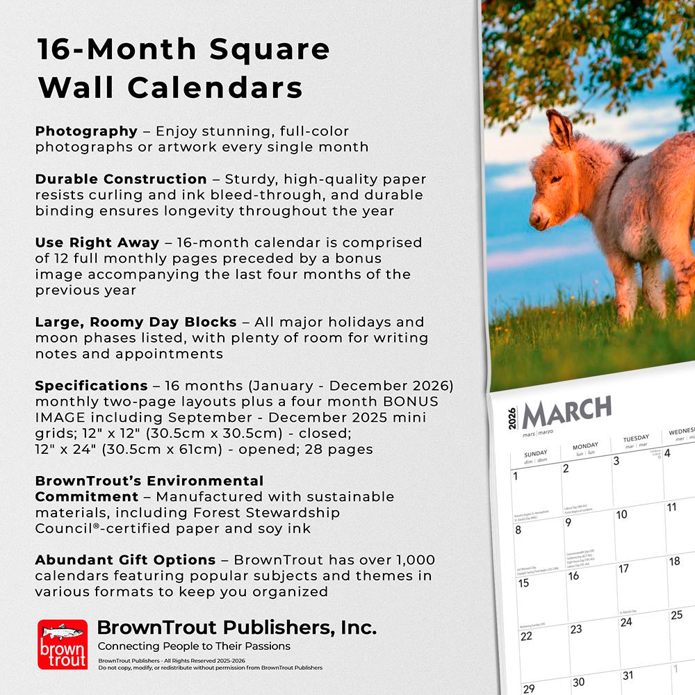 Donkeys | 2026 12 x 24 Inch (Hanging) Monthly Square Wall Calendar