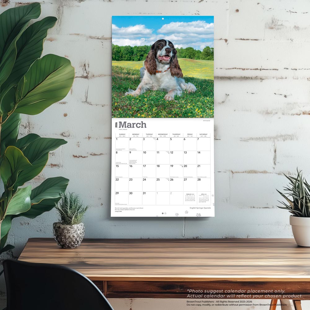 English Springer Spaniels | 2026 12 x 24 Inch (Hanging) Monthly Square Wall Calendar