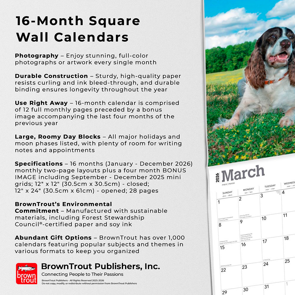 English Springer Spaniels | 2026 12 x 24 Inch (Hanging) Monthly Square Wall Calendar