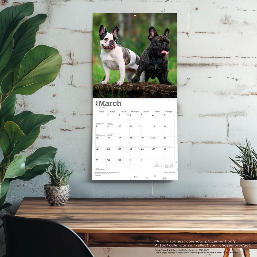 French Bulldogs | 2026 12 x 24 Inch (Hanging) Monthly Square Wall Calendar