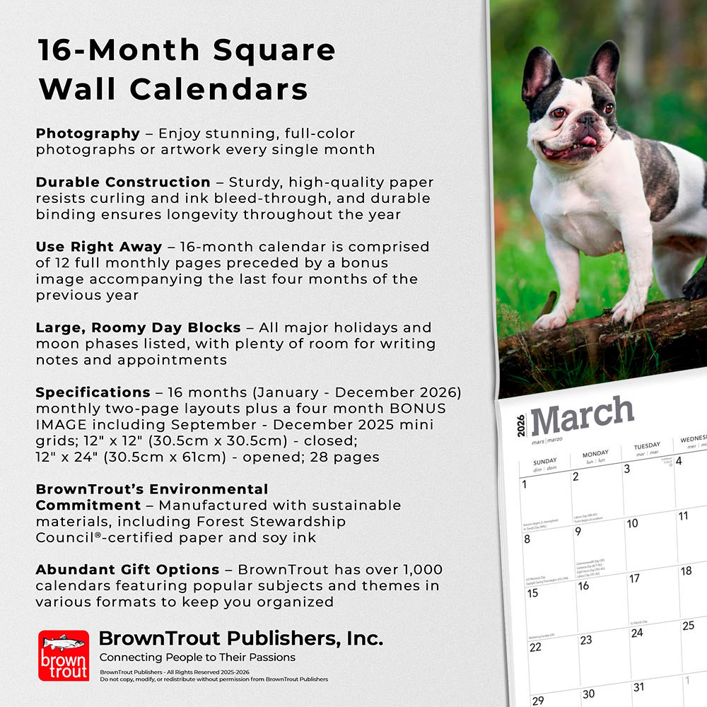 French Bulldogs | 2026 12 x 24 Inch (Hanging) Monthly Square Wall Calendar