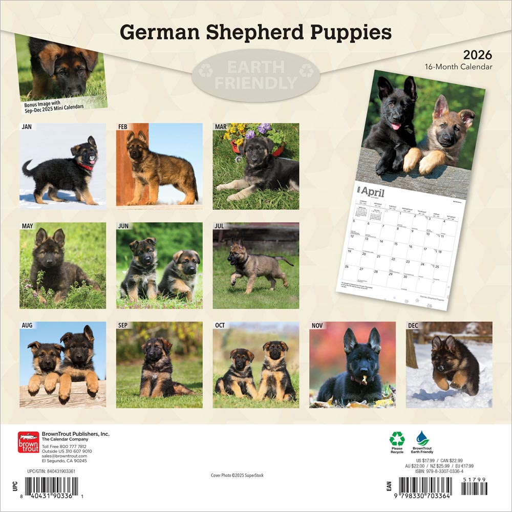 German Shepherd Puppies | 2026 12 x 24 Inch (Hanging) Monthly Square Wall Calendar